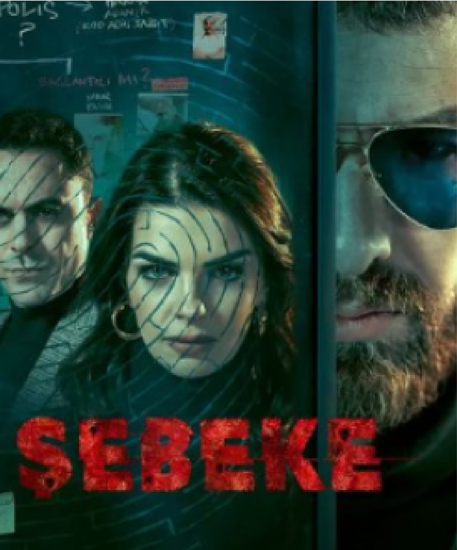 ŞEBEKE
